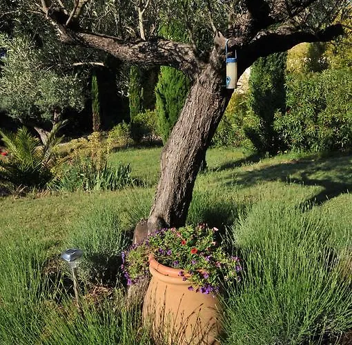 Bastide De L'avelan 4* Гримо